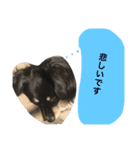 Mokochan everyday（個別スタンプ：16）