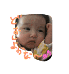 sae-pino（個別スタンプ：1）