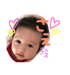 sae-pino（個別スタンプ：12）