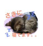 うちの子猫ちゃちゃ（個別スタンプ：12）