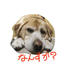 のんびりラブのレオンさん2（個別スタンプ：10）