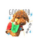 らるわんこスタンプ（個別スタンプ：1）