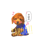 らるわんこスタンプ（個別スタンプ：15）