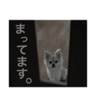 Rara...2（個別スタンプ：5）