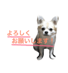 Rara...2（個別スタンプ：6）