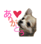 Rara...2（個別スタンプ：7）