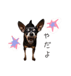 愛犬たちの日常（個別スタンプ：4）