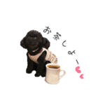 愛犬たちの日常（個別スタンプ：7）