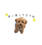 愛犬たちの日常（個別スタンプ：10）
