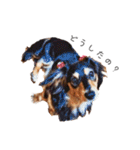 愛犬たちの日常（個別スタンプ：16）