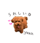 愛犬たちの日常（個別スタンプ：22）