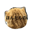 諭吉とねこズ（個別スタンプ：4）