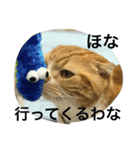 諭吉とねこズ（個別スタンプ：6）