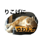 諭吉とねこズ（個別スタンプ：9）