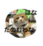 諭吉とねこズ（個別スタンプ：17）