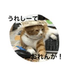 諭吉とねこズ（個別スタンプ：22）
