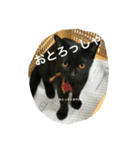 諭吉とねこズ（個別スタンプ：25）
