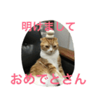 諭吉とねこズ（個別スタンプ：40）