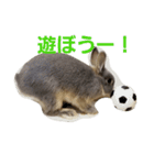 うさぎのメルさん（個別スタンプ：4）