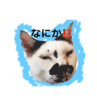 うみぎんスタンプ（個別スタンプ：1）