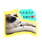 うみぎんスタンプ（個別スタンプ：4）