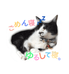 うみぎんスタンプ（個別スタンプ：7）
