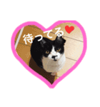 うみぎんスタンプ（個別スタンプ：15）