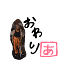 肇ちゃんの一日(1)（個別スタンプ：4）