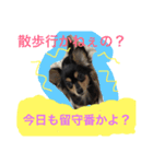 かわいいこまちゃん（個別スタンプ：2）