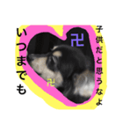 かわいいこまちゃん（個別スタンプ：3）