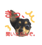 かわいいこまちゃん（個別スタンプ：7）
