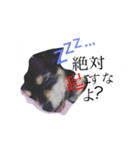 かわいいこまちゃん（個別スタンプ：10）