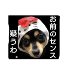 かわいいこまちゃん（個別スタンプ：11）
