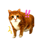 もちめる（個別スタンプ：5）