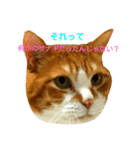 もちめる（個別スタンプ：8）