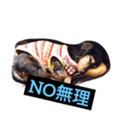 Mami's dog's feelings（個別スタンプ：4）