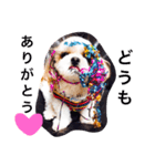 Mami's dog's feelings（個別スタンプ：5）