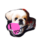 Mami's dog's feelings（個別スタンプ：7）