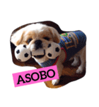 Mami's dog's feelings（個別スタンプ：11）