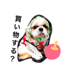 Mami's dog's feelings（個別スタンプ：12）
