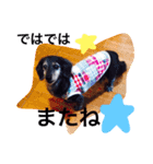 Mami's dog's feelings（個別スタンプ：16）
