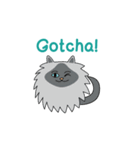 Purr-Moji Animated Funny Cats（個別スタンプ：5）