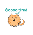 Purr-Moji Animated Funny Cats（個別スタンプ：10）