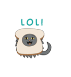 Purr-Moji Animated Funny Cats（個別スタンプ：23）