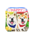 秋田犬こむぎ（個別スタンプ：27）