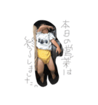 照あき（個別スタンプ：6）