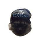 ヨゴレちゃん（個別スタンプ：4）