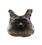 ヨゴレちゃん（個別スタンプ：6）