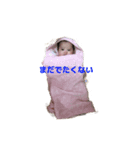 陽葵たん（個別スタンプ：5）