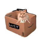 るしやま先生（個別スタンプ：1）